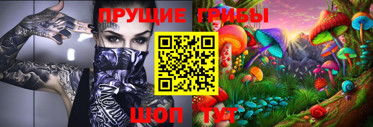 купить   Вход с VPN  Ижевск  Псилоцибиновые грибы Psilocybe  Галлюциногенные грибы мухоморы 